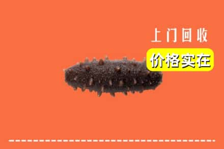 收购资讯:白云鄂博矿区回收海参